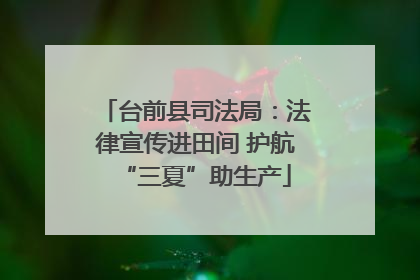 台前县司法局：法律宣传进田间 护航“三夏”助生产