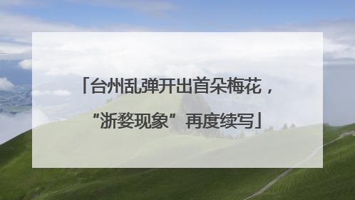 台州乱弹开出首朵梅花，“浙婺现象”再度续写