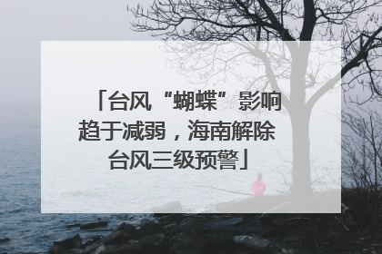 台风“蝴蝶”影响趋于减弱，海南解除台风三级预警