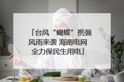 台风“蝴蝶”携强风雨来袭 海南电网全力保民生用电