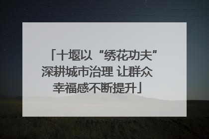 十堰以“绣花功夫”深耕城市治理 让群众幸福感不断提升