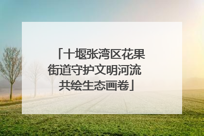 十堰张湾区花果街道守护文明河流 共绘生态画卷