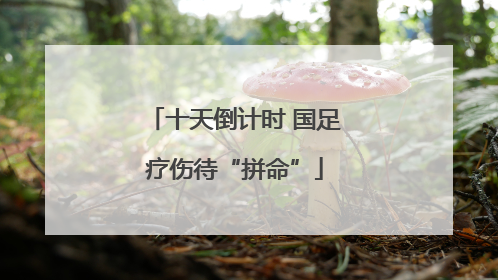 十天倒计时 国足疗伤待“拼命”
