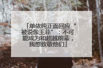 单依纯正面回应“被说像王菲”：不可能成为和超越前辈，我想致敬他们