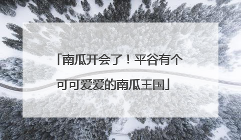 南瓜开会了！平谷有个可可爱爱的南瓜王国