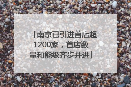 南京已引进首店超1200家，首店数量和能级齐步并进