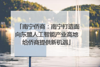 南宁侨商：南宁打造面向东盟人工智能产业高地给侨商提供新机遇