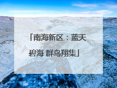 南海新区：蓝天碧海 群鸟翔集