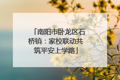 南阳市卧龙区石桥镇：家校联动共筑平安上学路