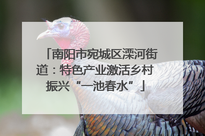 南阳市宛城区溧河街道：特色产业激活乡村振兴“一池春水”