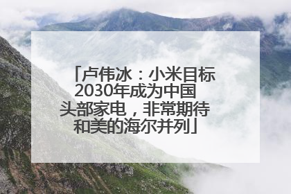 卢伟冰：小米目标2030年成为中国头部家电，非常期待和美的海尔并列