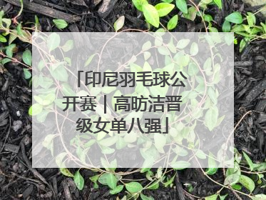 印尼羽毛球公开赛｜高昉洁晋级女单八强