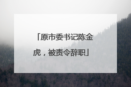 原市委书记陈金虎，被责令辞职