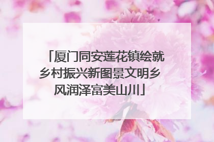 厦门同安莲花镇绘就乡村振兴新图景文明乡风润泽富美山川