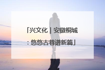 兴文化｜安徽桐城：悠悠古巷谱新篇