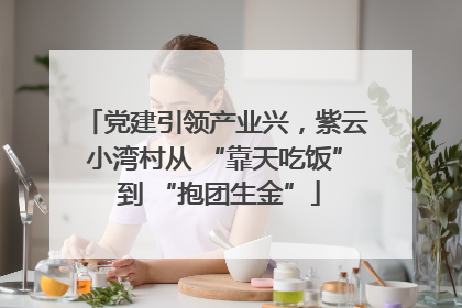 党建引领产业兴，紫云小湾村从 “靠天吃饭” 到 “抱团生金”