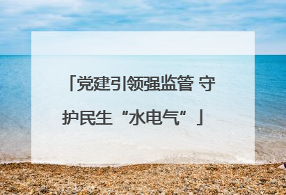 党建引领强监管 守护民生“水电气”
