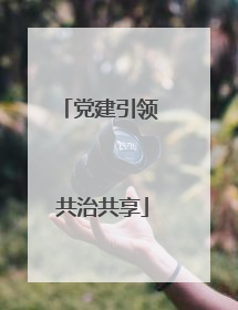 党建引领 共治共享