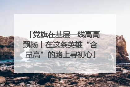 党旗在基层一线高高飘扬丨在这条英雄“含量高”的路上寻初心