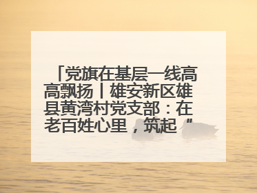 党旗在基层一线高高飘扬丨雄安新区雄县黄湾村党支部：在老百姓心里，筑起“一座山”