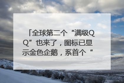 全球第二个“满级QQ”也来了，图标已显示金色企鹅，系首个“满级QQ”的小号