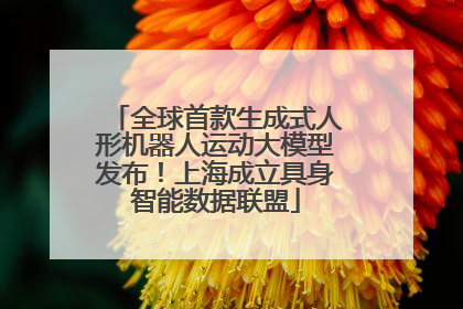 全球首款生成式人形机器人运动大模型发布！上海成立具身智能数据联盟