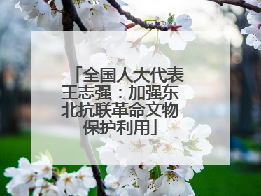 全国人大代表王志强：加强东北抗联革命文物保护利用