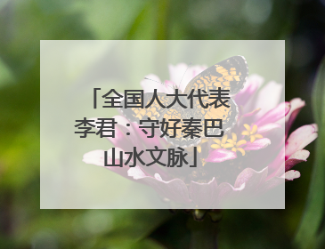 全国人大代表李君：守好秦巴山水文脉