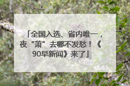 全国入选、省内唯一，夜“萧”去哪不发愁！《90早新闻》来了