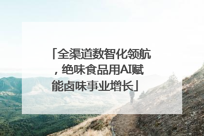 全渠道数智化领航，绝味食品用AI赋能卤味事业增长