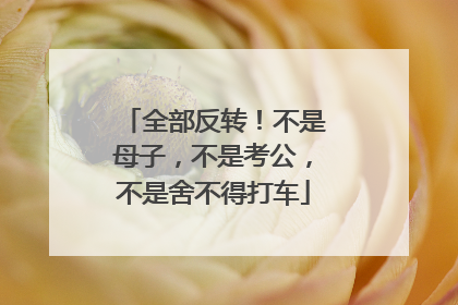 全部反转！不是母子，不是考公，不是舍不得打车