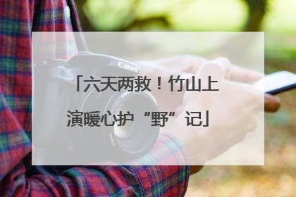 六天两救！竹山上演暖心护“野”记