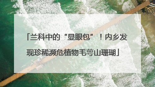 兰科中的“显眼包”！内乡发现珍稀濒危植物毛萼山珊瑚