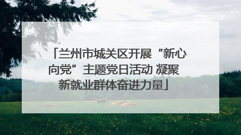 兰州市城关区开展“新心向党”主题党日活动 凝聚新就业群体奋进力量
