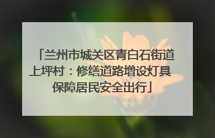 兰州市城关区青白石街道上坪村：修缮道路增设灯具 保障居民安全出行