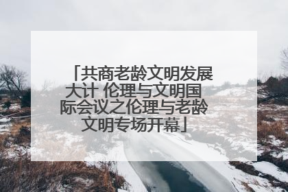 共商老龄文明发展大计 伦理与文明国际会议之伦理与老龄文明专场开幕