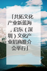 共拓文化产业新蓝海，启东（深圳）文化产业招商推介会举行
