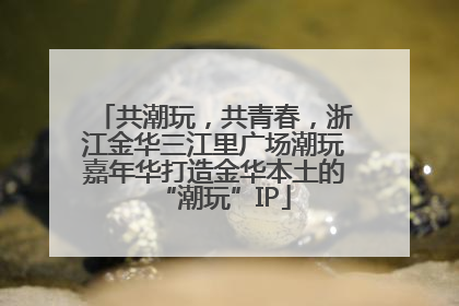 共潮玩，共青春，浙江金华三江里广场潮玩嘉年华打造金华本土的“潮玩”IP