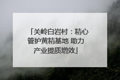 关岭白岩村：精心管护黄精基地 助力产业提质增效