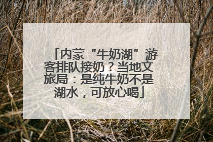 内蒙“牛奶湖”游客排队接奶？当地文旅局：是纯牛奶不是湖水，可放心喝