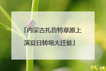 内蒙古扎鲁特草原上演夏日转场大迁徙