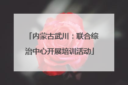 内蒙古武川：联合综治中心开展培训活动