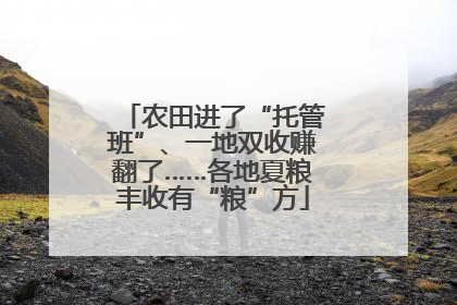 农田进了“托管班”、一地双收赚翻了……各地夏粮丰收有“粮”方
