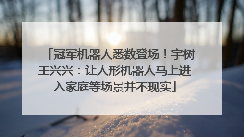 冠军机器人悉数登场！宇树王兴兴：让人形机器人马上进入家庭等场景并不现实