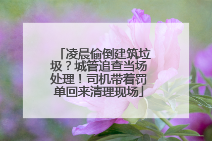 凌晨偷倒建筑垃圾？城管追查当场处理！司机带着罚单回来清理现场