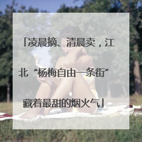 凌晨摘、清晨卖，江北“杨梅自由一条街”藏着最甜的烟火气