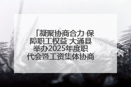凝聚协商合力 保障职工权益 大通县举办2025年度职代会暨工资集体协商现场观摩交流活动