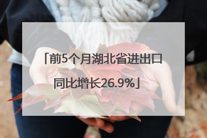 前5个月湖北省进出口同比增长26.9%