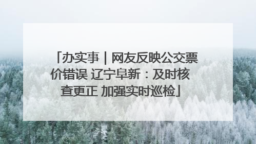办实事｜网友反映公交票价错误 辽宁阜新：及时核查更正 加强实时巡检