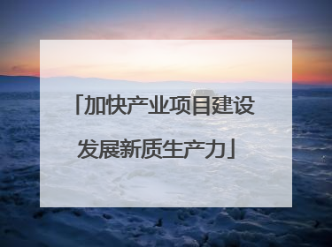 加快产业项目建设 发展新质生产力